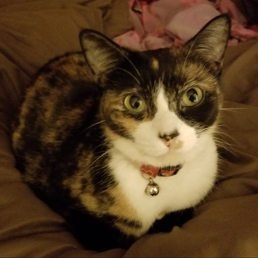 Meet your Posher, Cristine